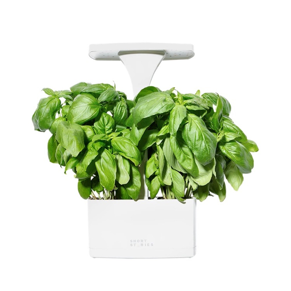 Short Stories LED Indoor Planter *Grow Herbs* NEW